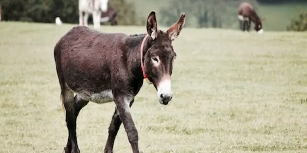 Puisi Rock Blues Lirik Mendalam yang Bikin Merinding